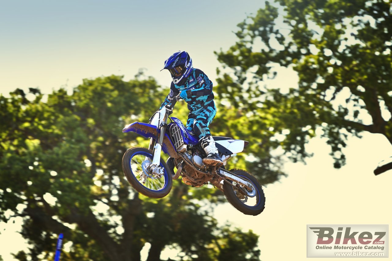 Thumbnail for Yamaha YZ85 2019