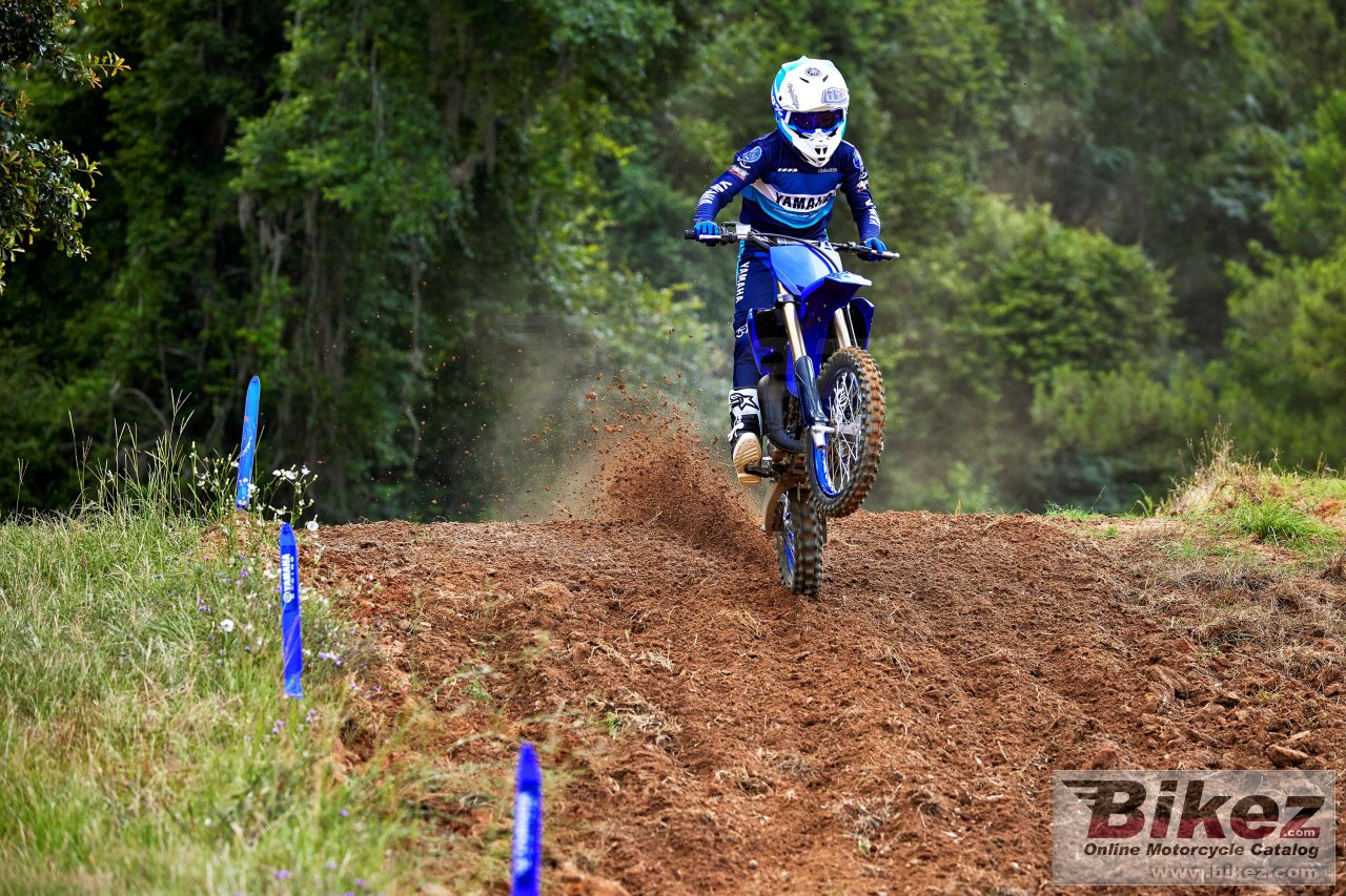 Thumbnail for Yamaha YZ85 2023