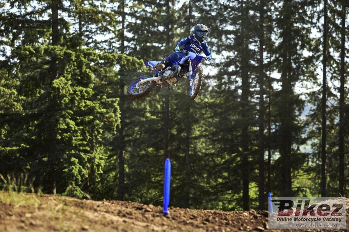 Thumbnail for Yamaha YZ85 2024