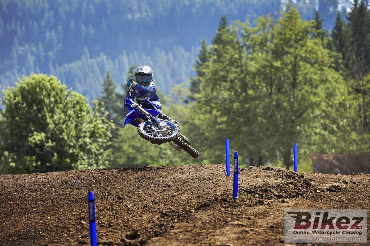 Thumbnail for Yamaha YZ85 2024