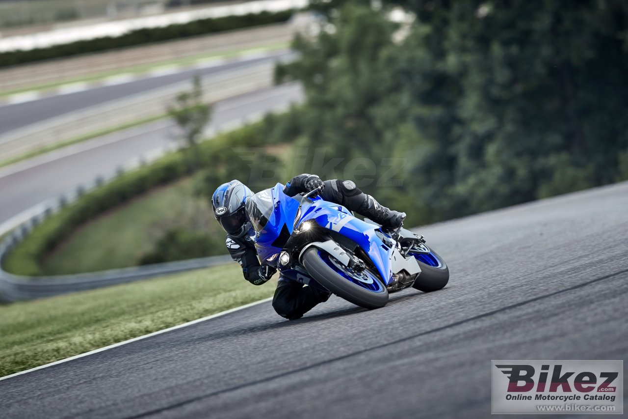Thumbnail for Yamaha YZF R6 Race 2021